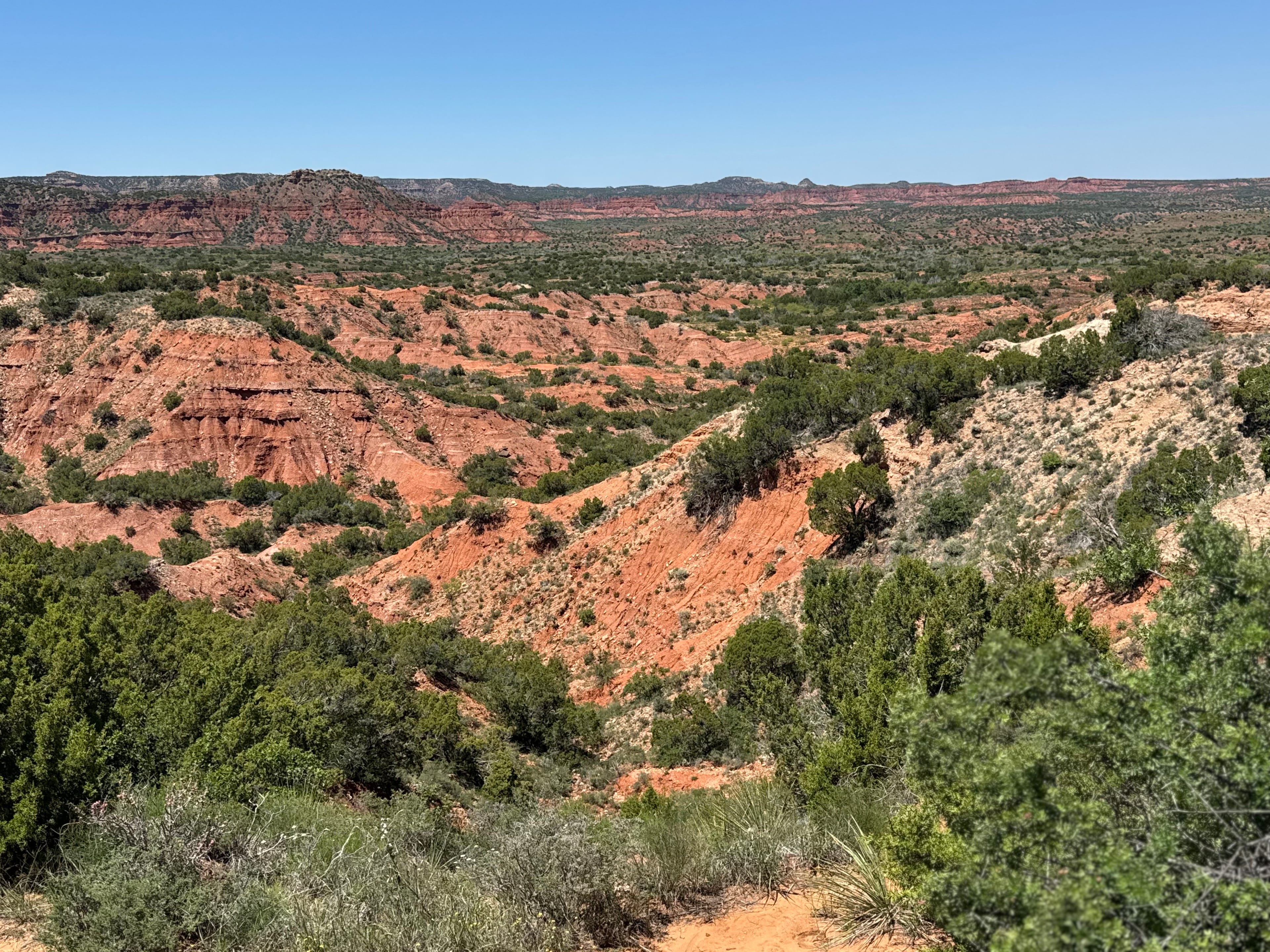 This is a vibant red dirt canyon with a deep popping green layer of trees. Caprock Canyon State Park, Texas